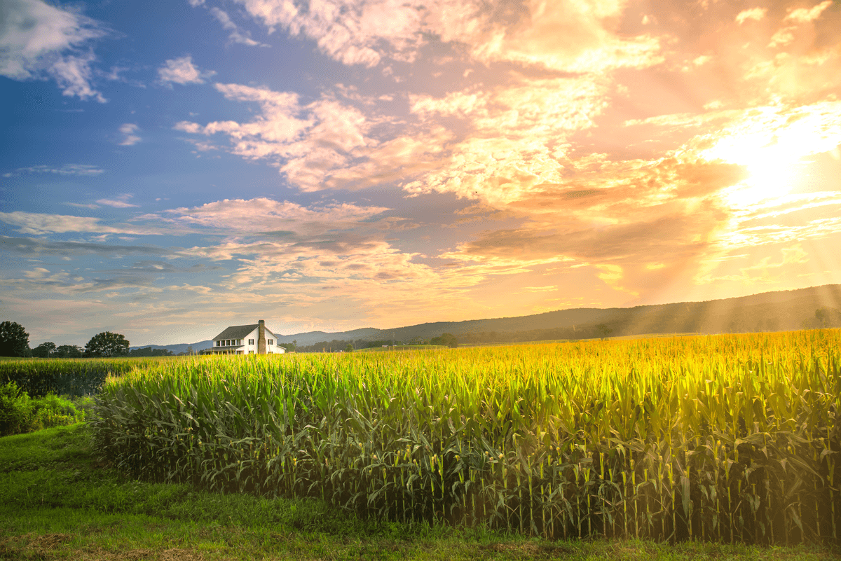 USDA loans hero — rural home financing